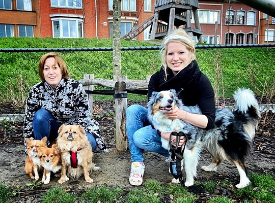 pb_dierenasiel_leuven
